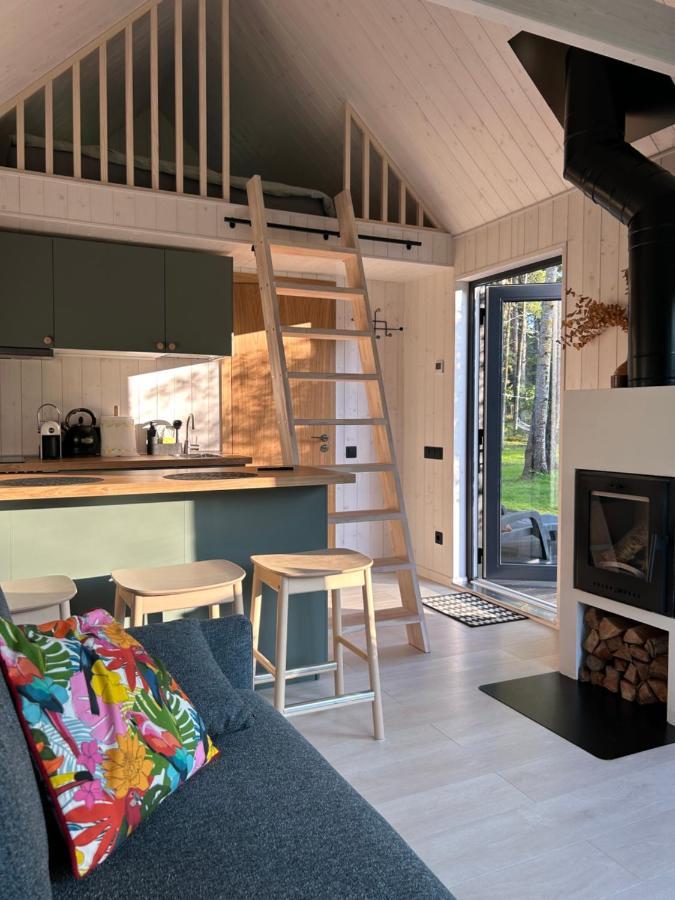 Baltrozes Holiday home Adazi